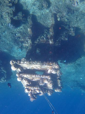 People swimming in sea