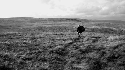 Rear view of man walking on land