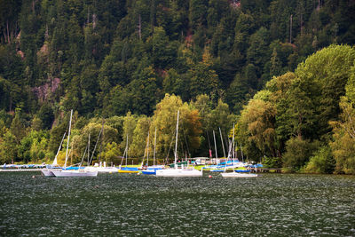 Boats moored in lake against trees in forest