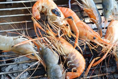 Close-up of fish for sale