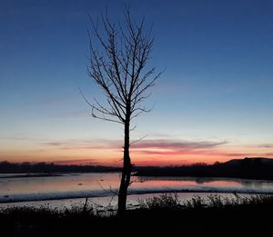 Silhouette bare tree by lake against sky during sunset