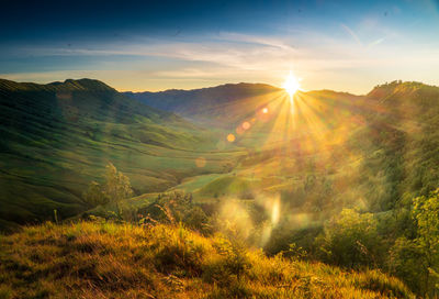 Scenic view of field against sky during sunset