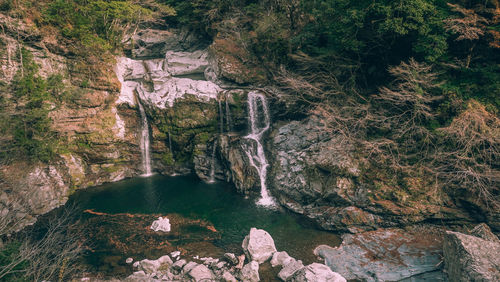 Scenic view of waterfall in forest