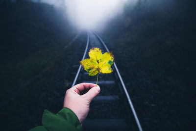 Close-up of person holding maple leaf against railroad track