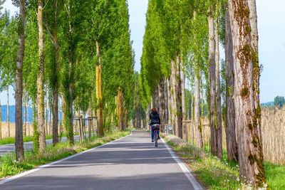 Rear view of man riding bicycle on road