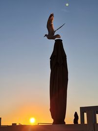 Silhouette person holding a bird against sky during sunset