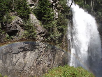 Scenic view of waterfall in forest