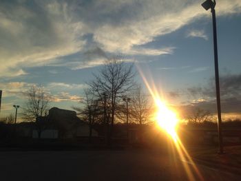 Bare trees at sunset