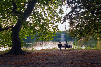 Rear view of man sitting on bench in park