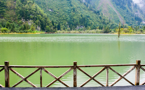 Calm lake in front of trees