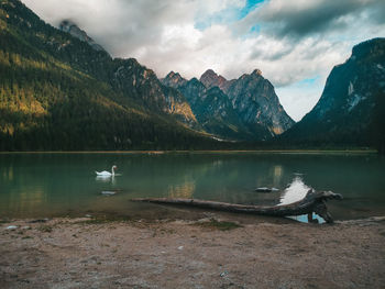 Rear view of man standing in lake