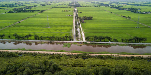 Scenic view of agricultural field