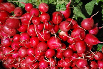 Full frame shot of cherries in market