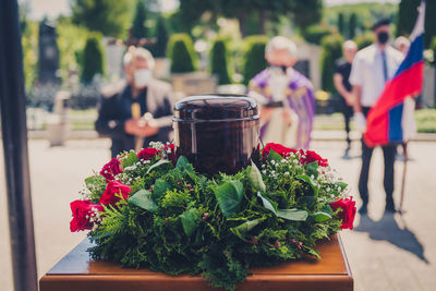 Potted plant on table