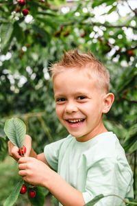 A boy picking cherries in the orchard. hands hold cherries close up.