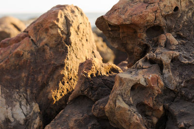 Rocks on shore