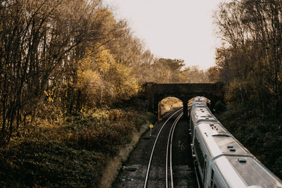 Railroad tracks amidst trees against clear sky