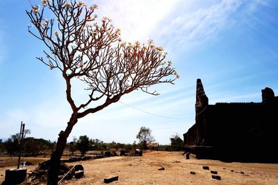 Bare trees on landscape against sky