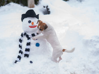 Dog and snowman in park