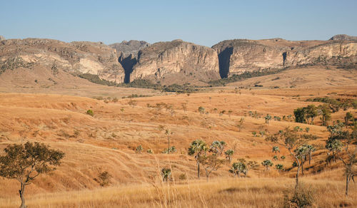Scenic view of landscape against clear sky