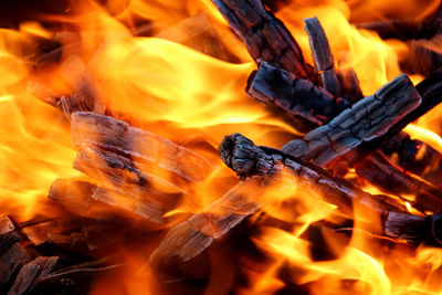 Firewood burning with bright fire close-up