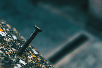 Close-up of cigarette smoking