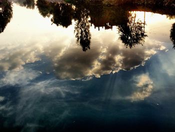 Reflection of trees in water against sky