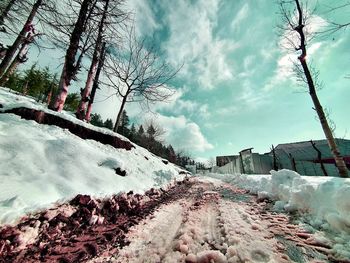 Snow covered road amidst trees against sky