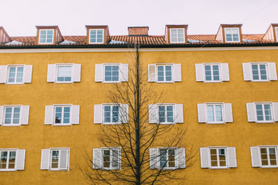 Low angle view of bare tree against yellow building