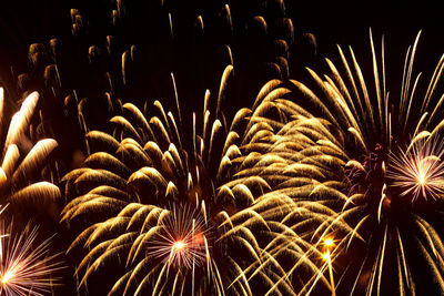 Low angle view of firework display at night