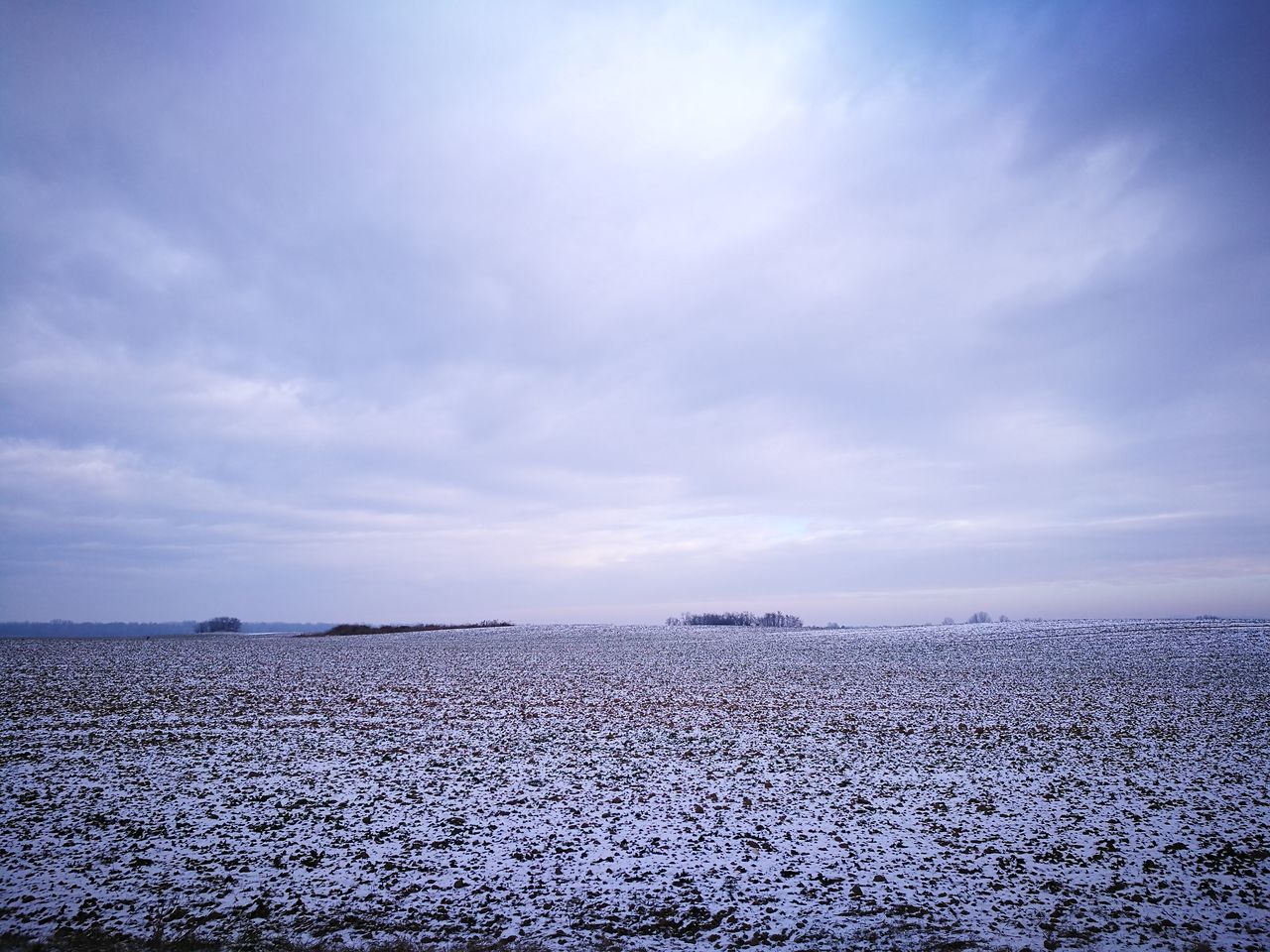 SEA AGAINST SKY