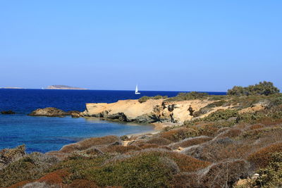sea