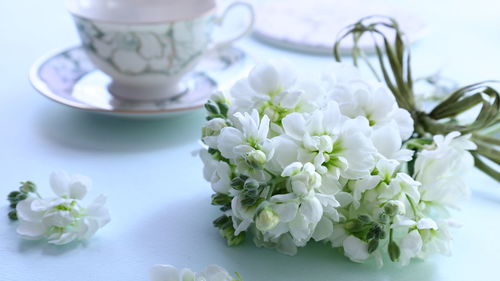 Close-up of white roses on table