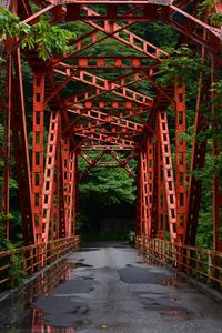 Wet red bridge leading towards trees