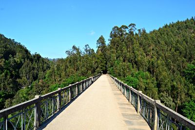 Footbridge amidst trees in forest against sky