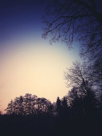 Low angle view of silhouette trees against sky at dusk