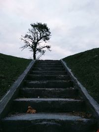 Staircase by tree against sky