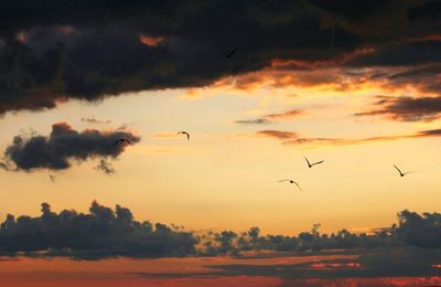 Scenic view of sky at sunset