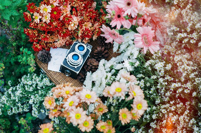 High angle view of flower pot