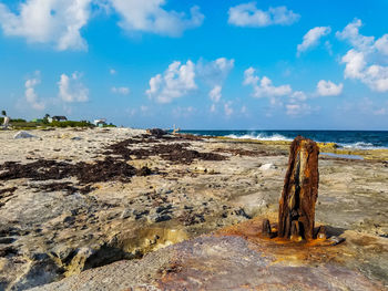 Scenic view of beach against sky