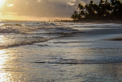View of calm beach at sunset