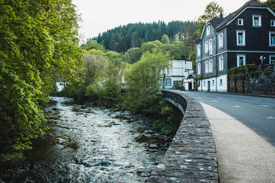 Footpath amidst trees and buildings