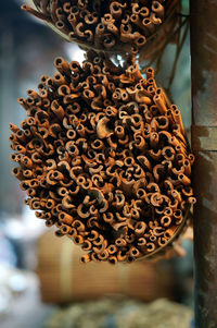 Bundles of cinnamons hanging on metallic rod at market