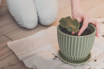 Midsection of woman planting plant in pot