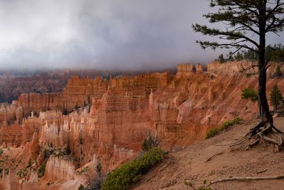 Scenic view of landscape against cloudy sky