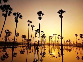 Silhouette palm trees by lake against sky during sunset