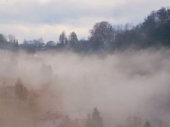 Trees on landscape against sky
