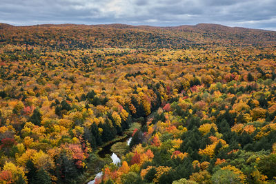 High angle view of trees and mountains against sky