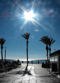 Palm trees by sea against sky on sunny day