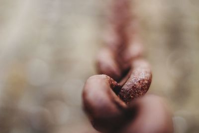 Close-up of hand